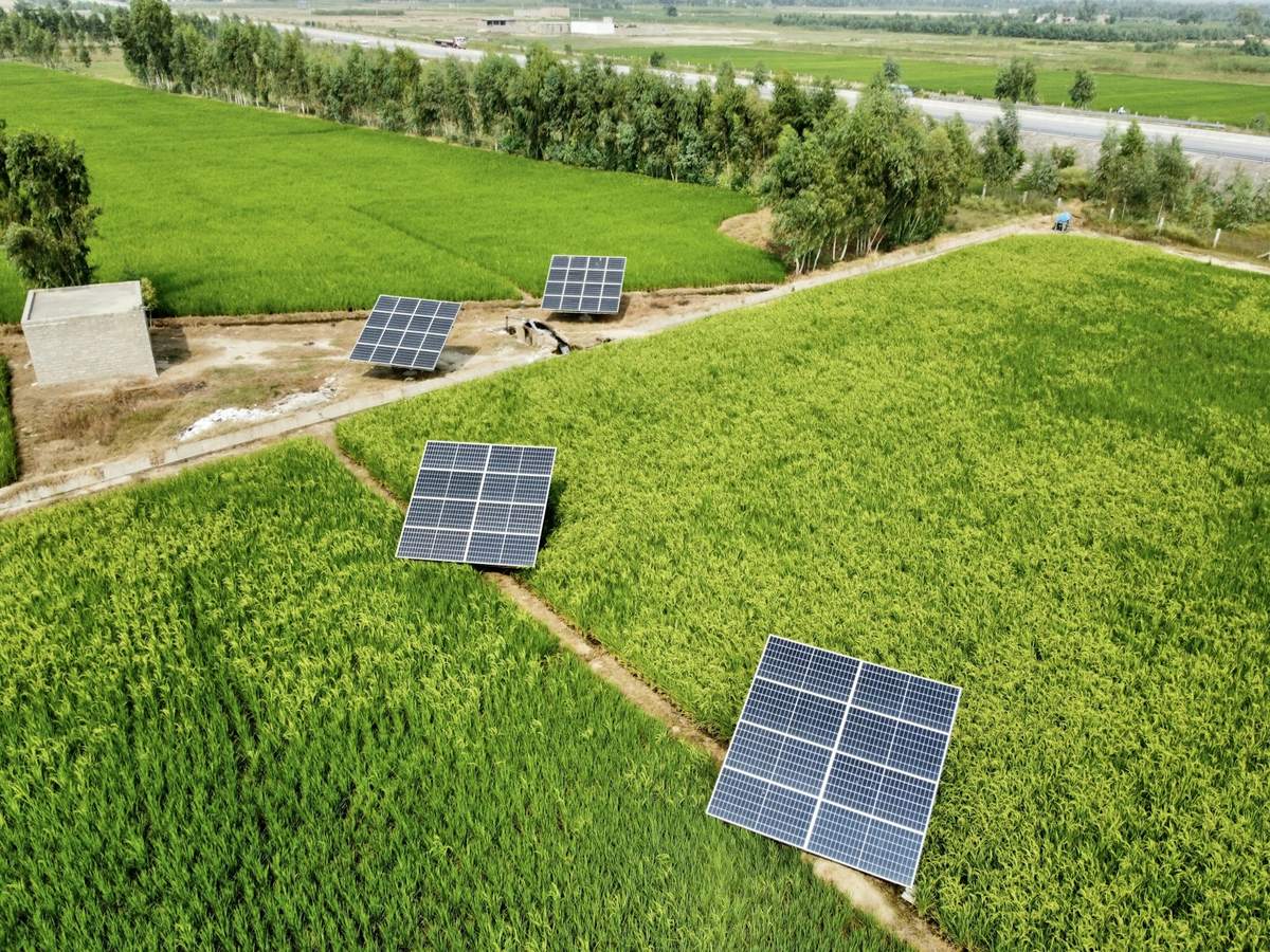 Solar panels installed beside green fields